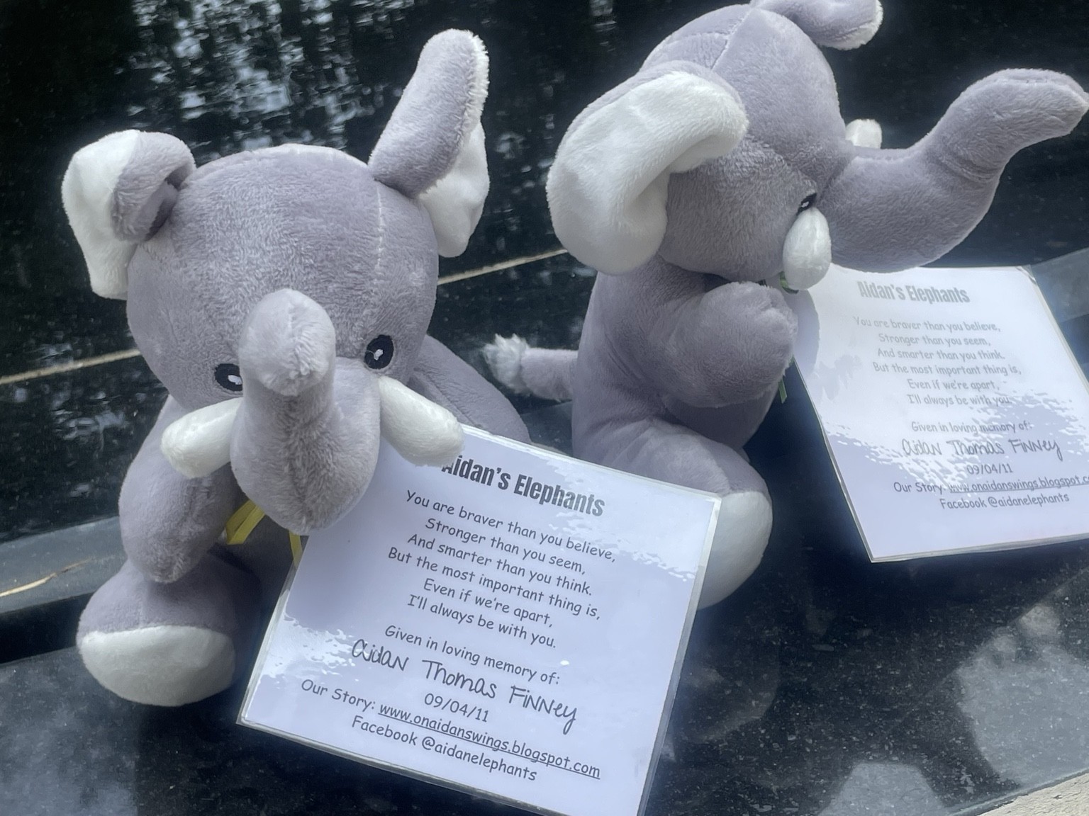 Aidan's Elephants
