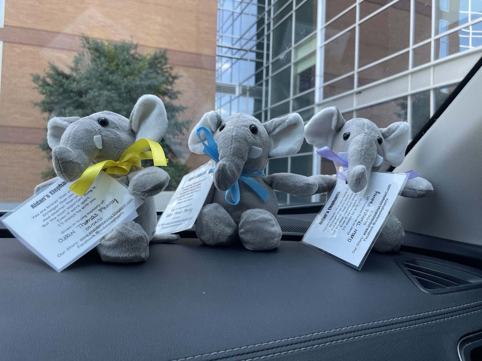 Aidan's Elephants at a hospital